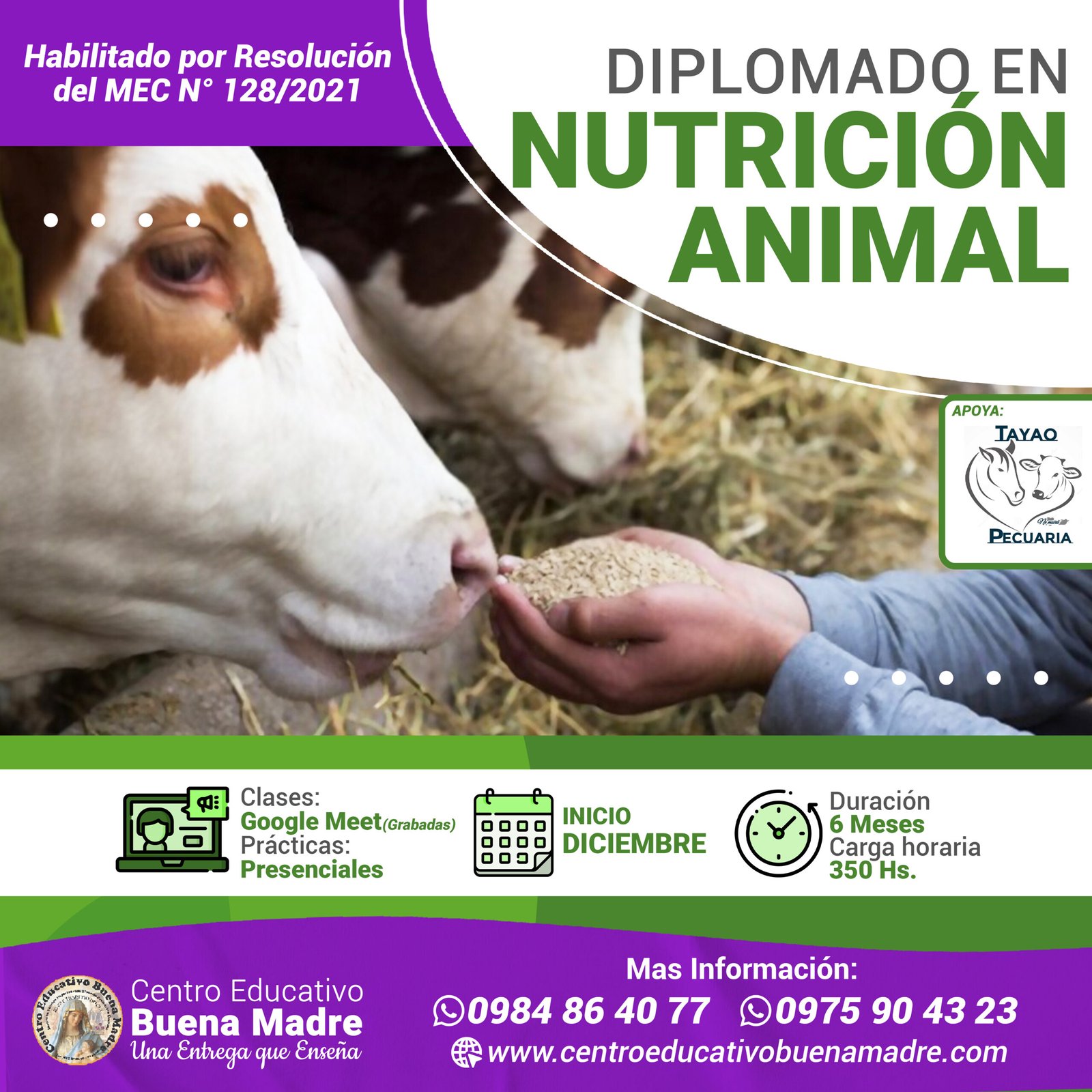 Diplomado en Nutrición Animal - Quinta Convocatoria - Centro Educativo  Buena Madre